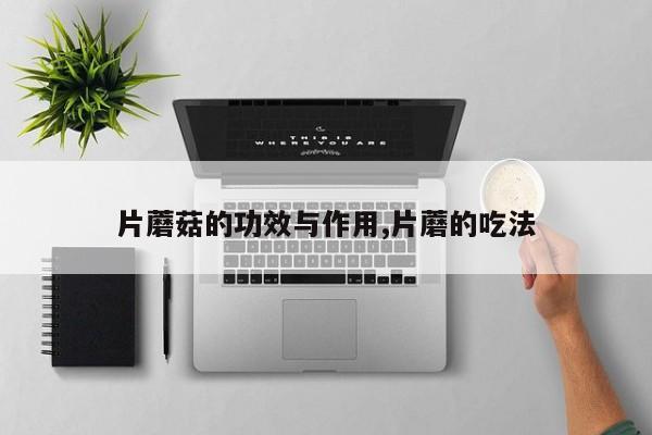 片蘑菇的功效与作用,片蘑的吃法