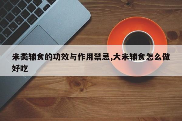 米类辅食的功效与作用禁忌,大米辅食怎么做好吃