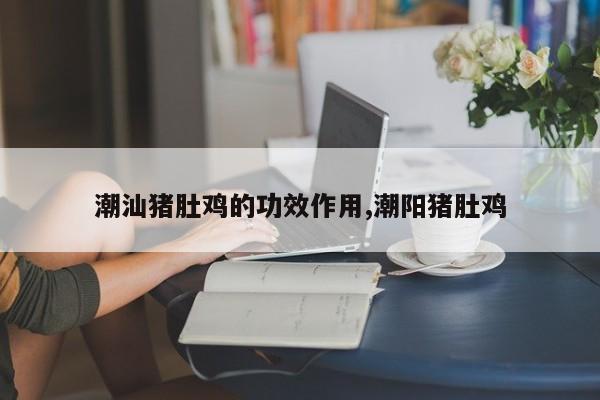 潮汕猪肚鸡的功效作用,潮阳猪肚鸡