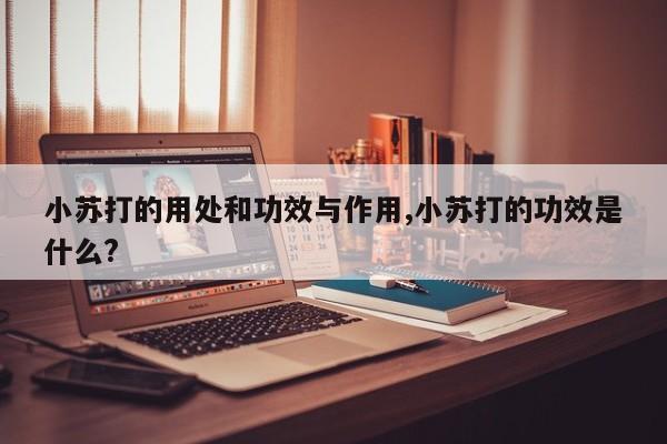 小苏打的用处和功效与作用,小苏打的功效是什么?