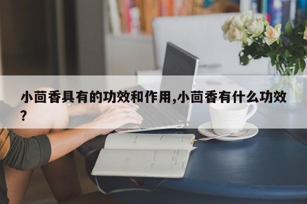 小茴香具有的功效和作用,小茴香有什么功效?