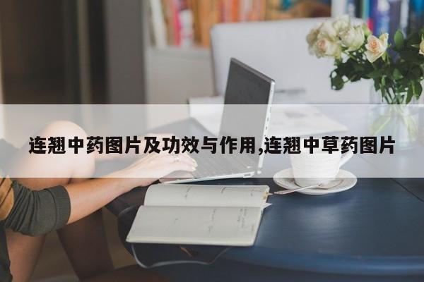 连翘中药图片及功效与作用,连翘中草药图片