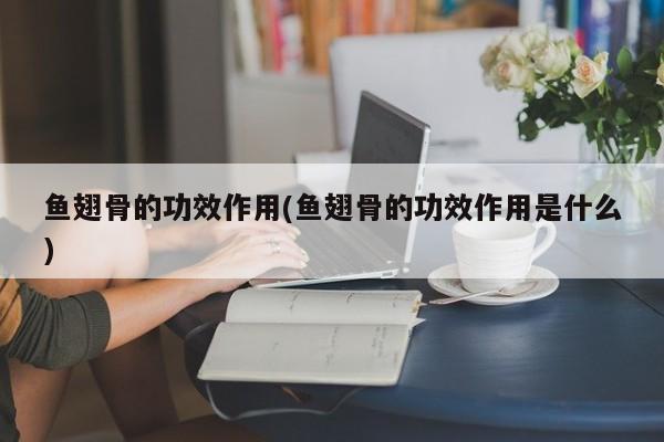 鱼翅骨的功效作用(鱼翅骨的功效作用是什么)
