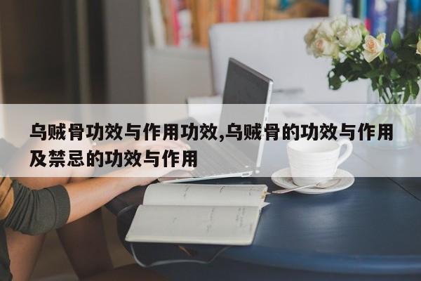 乌贼骨功效与作用功效,乌贼骨的功效与作用及禁忌的功效与作用