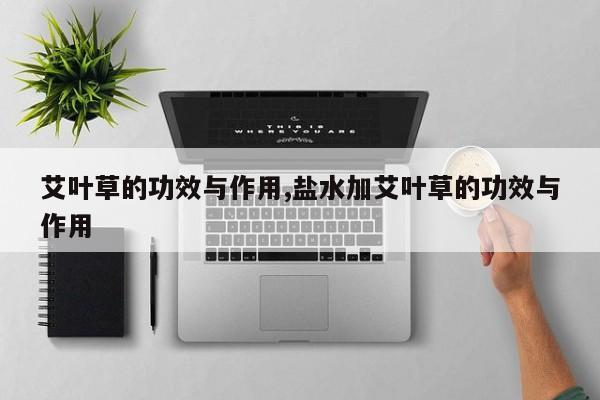 艾叶草的功效与作用,盐水加艾叶草的功效与作用