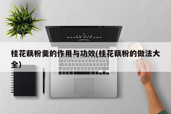 桂花藕粉羹的作用与功效(桂花藕粉的做法大全)
