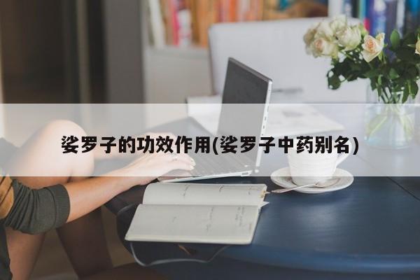 娑罗子的功效作用(娑罗子中药别名)