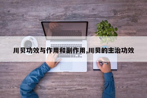 川贝功效与作用和副作用,川贝的主治功效