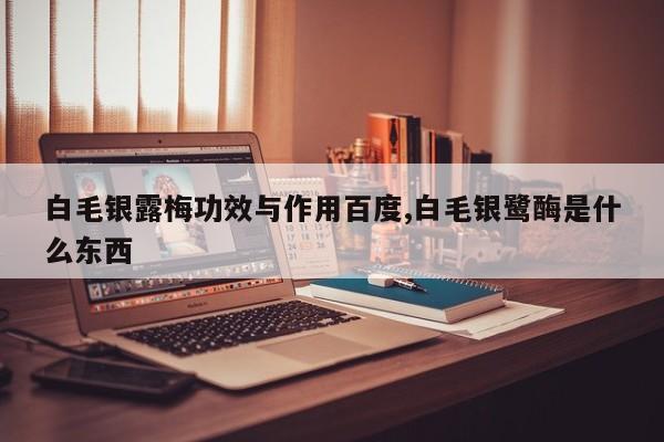 白毛银露梅功效与作用百度,白毛银鹭酶是什么东西