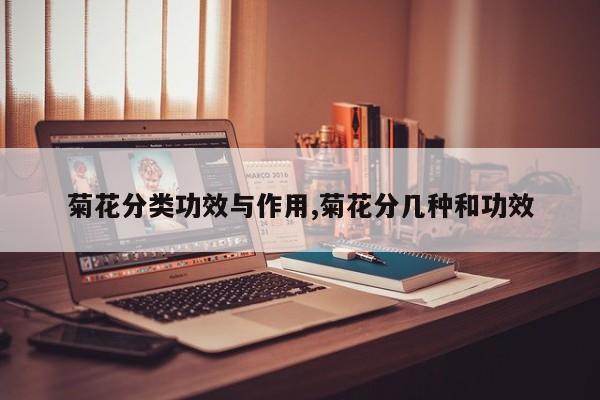 菊花分类功效与作用,菊花分几种和功效 第1张