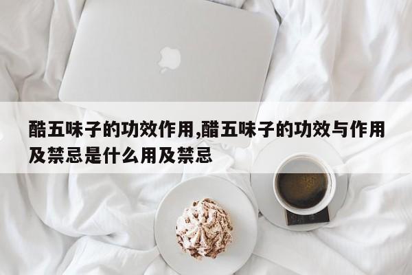 酷五味子的功效作用,醋五味子的功效与作用及禁忌是什么用及禁忌 第1张