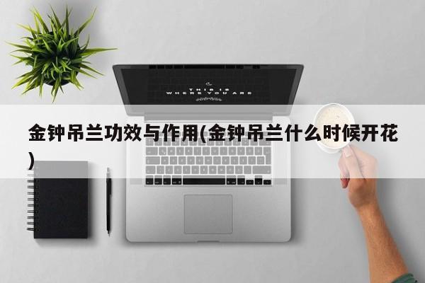 金钟吊兰功效与作用(金钟吊兰什么时候开花)