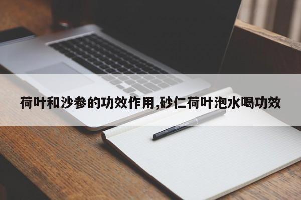 荷叶和沙参的功效作用,砂仁荷叶泡水喝功效