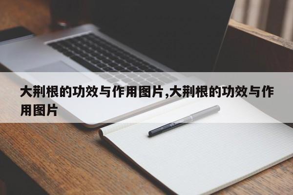 大荆根的功效与作用图片,大荆根的功效与作用图片