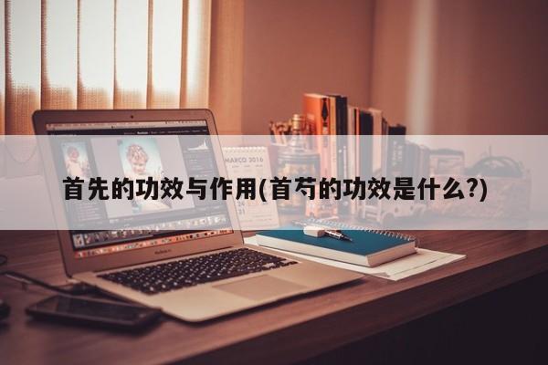 首先的功效与作用(首芍的功效是什么?)