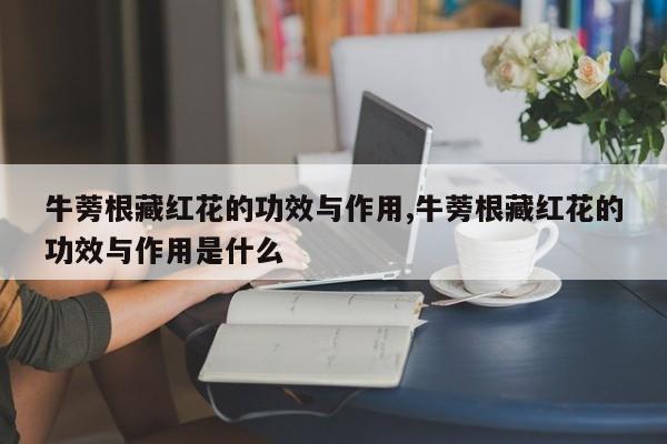 牛蒡根藏红花的功效与作用,牛蒡根藏红花的功效与作用是什么