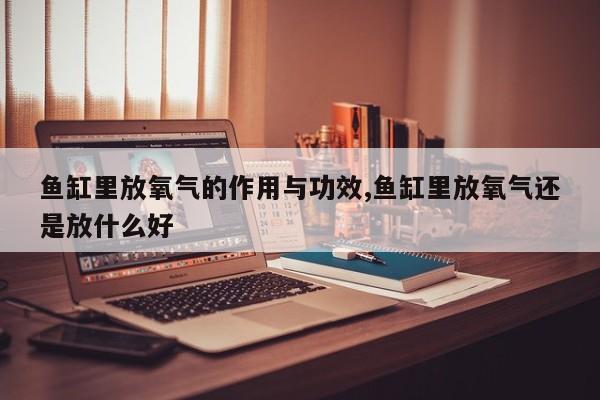 鱼缸里放氧气的作用与功效,鱼缸里放氧气还是放什么好