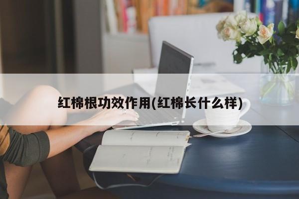 红棉根功效作用(红棉长什么样)