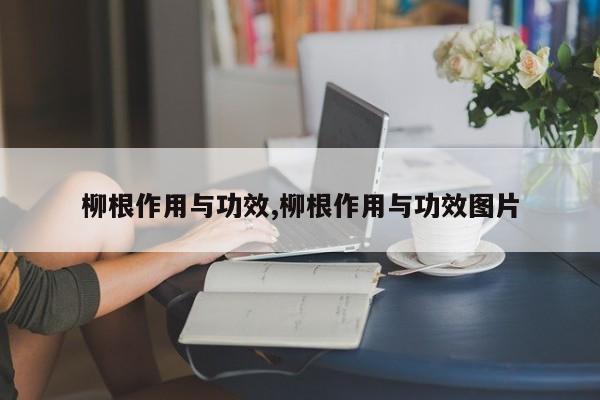 柳根作用与功效,柳根作用与功效图片