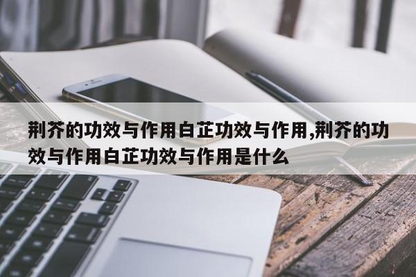 荆芥的功效与作用白芷功效与作用,荆芥的功效与作用白芷功效与作用是什么 第1张