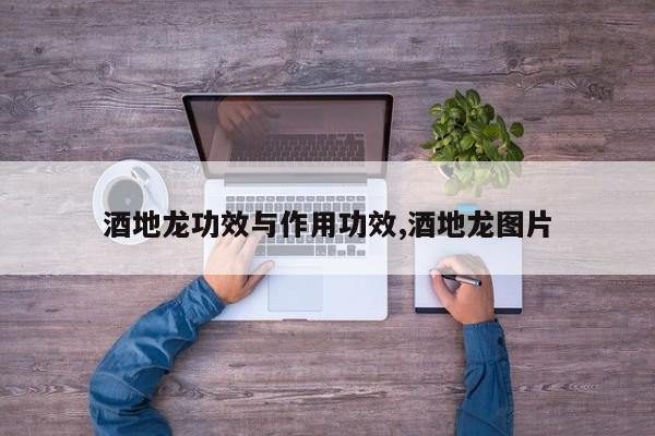 酒地龙功效与作用功效,酒地龙图片