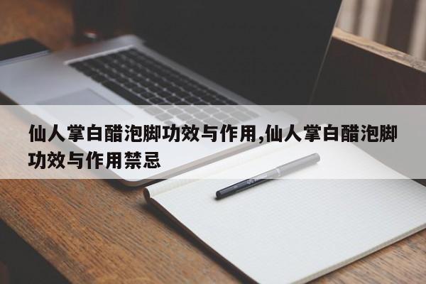 仙人掌白醋泡脚功效与作用,仙人掌白醋泡脚功效与作用禁忌