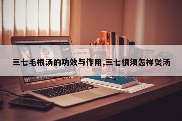 三七毛根汤的功效与作用,三七根须怎样煲汤