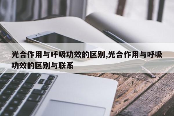 光合作用与呼吸功效的区别,光合作用与呼吸功效的区别与联系