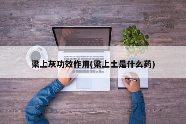 梁上灰功效作用(梁上土是什么药)