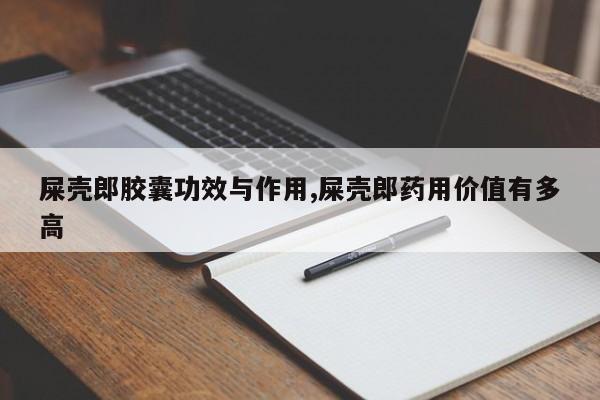 屎壳郎胶囊功效与作用,屎壳郎药用价值有多高