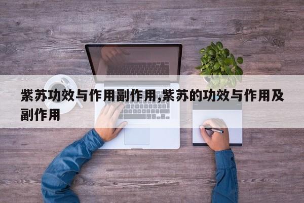 紫苏功效与作用副作用,紫苏的功效与作用及副作用