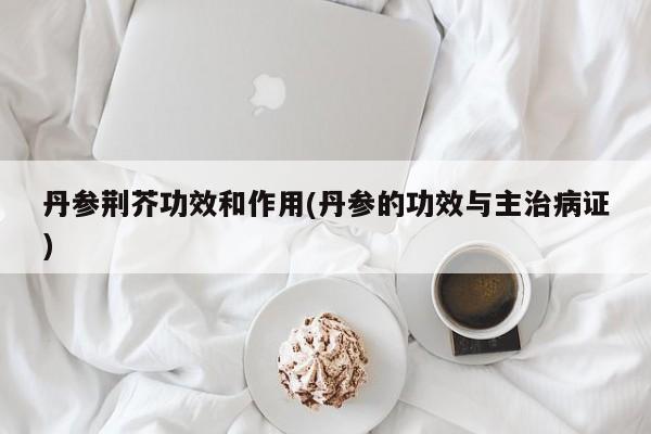 丹参荆芥功效和作用(丹参的功效与主治病证)