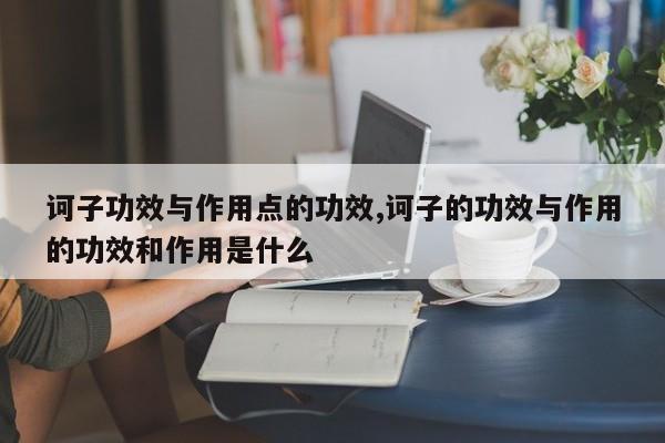 诃子功效与作用点的功效,诃子的功效与作用的功效和作用是什么 第1张