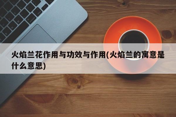 火焰兰花作用与功效与作用(火焰兰的寓意是什么意思) 第1张
