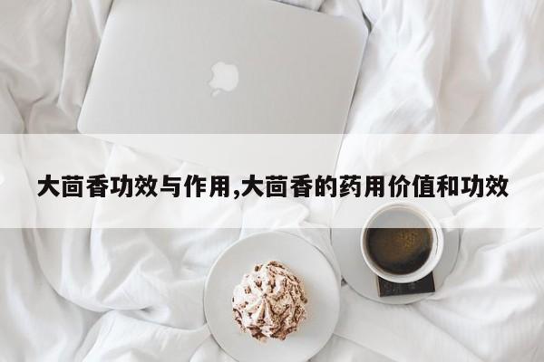 大茴香功效与作用,大茴香的药用价值和功效