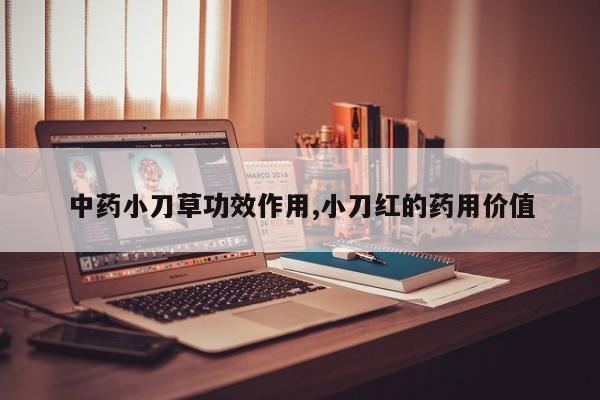 中药小刀草功效作用,小刀红的药用价值