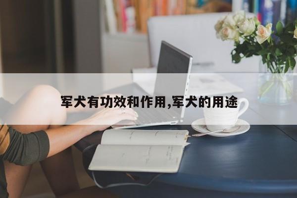 军犬有功效和作用,军犬的用途