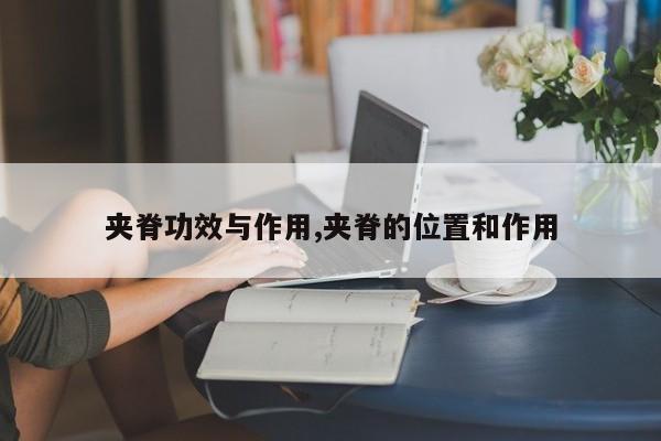 夹脊功效与作用,夹脊的位置和作用