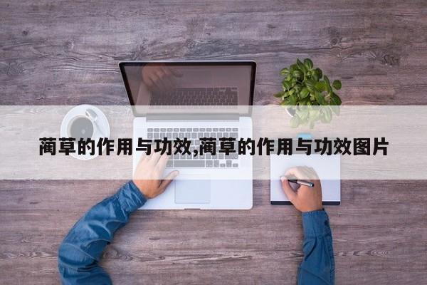 蔺草的作用与功效,蔺草的作用与功效图片