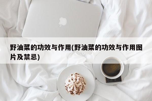 野油菜的功效与作用(野油菜的功效与作用图片及禁忌)
