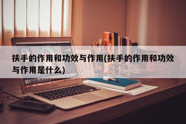 扶手的作用和功效与作用(扶手的作用和功效与作用是什么)