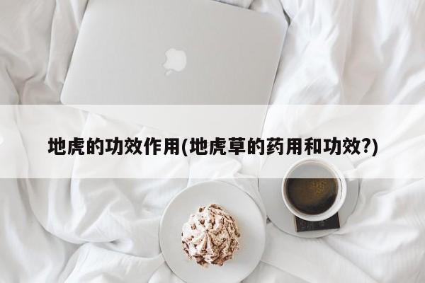 地虎的功效作用(地虎草的药用和功效?)
