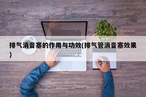排气消音塞的作用与功效(排气管消音塞效果)