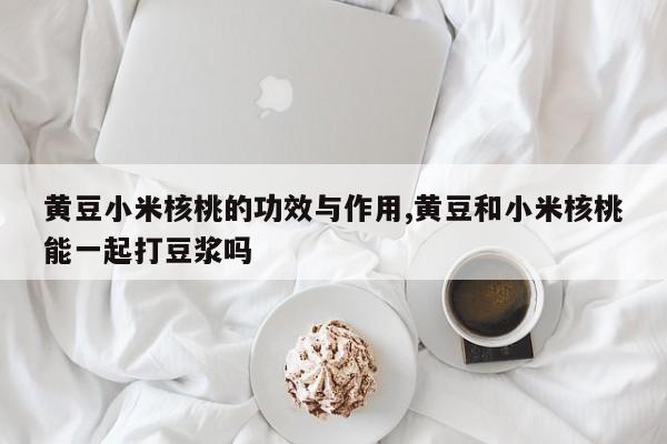 黄豆小米核桃的功效与作用,黄豆和小米核桃能一起打豆浆吗