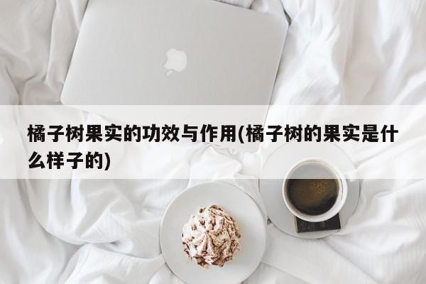 橘子树果实的功效与作用(橘子树的果实是什么样子的) 第1张
