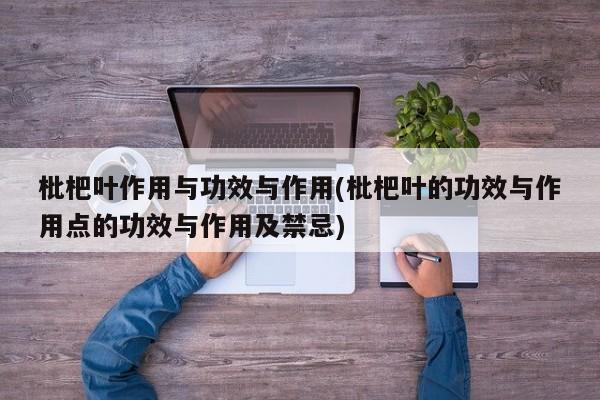 枇杷叶作用与功效与作用(枇杷叶的功效与作用点的功效与作用及禁忌) 第1张