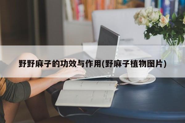野野麻子的功效与作用(野麻子植物图片) 第1张