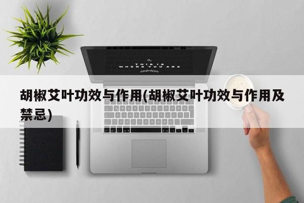 胡椒艾叶功效与作用(胡椒艾叶功效与作用及禁忌) 第1张
