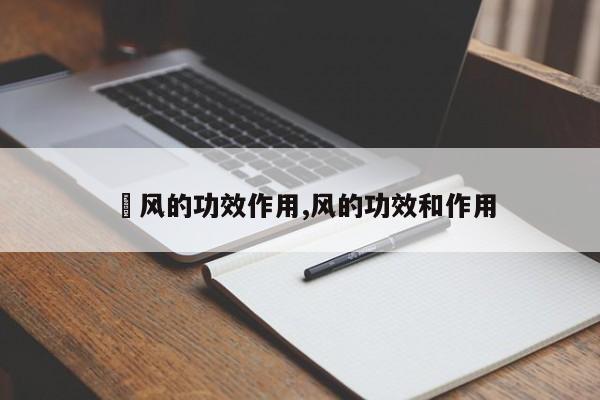 汸风的功效作用,风的功效和作用 第1张