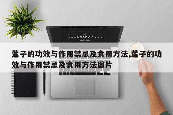 莲子的功效与作用禁忌及食用方法,莲子的功效与作用禁忌及食用方法图片 第1张